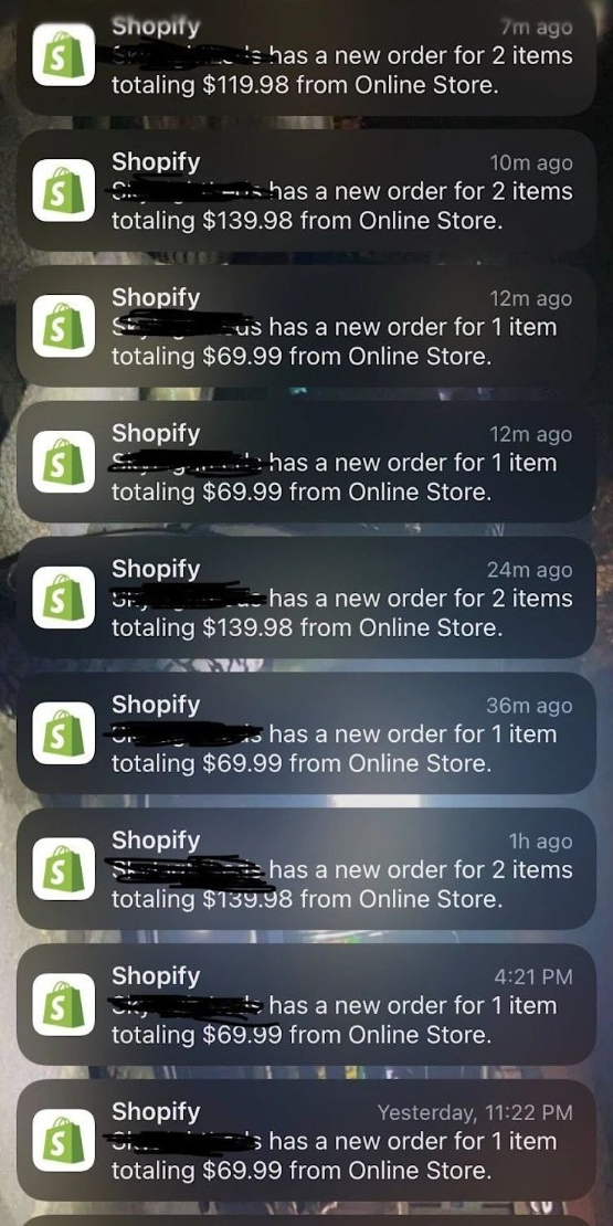 Illustrative Shopify outcome on the RealShip curriculum