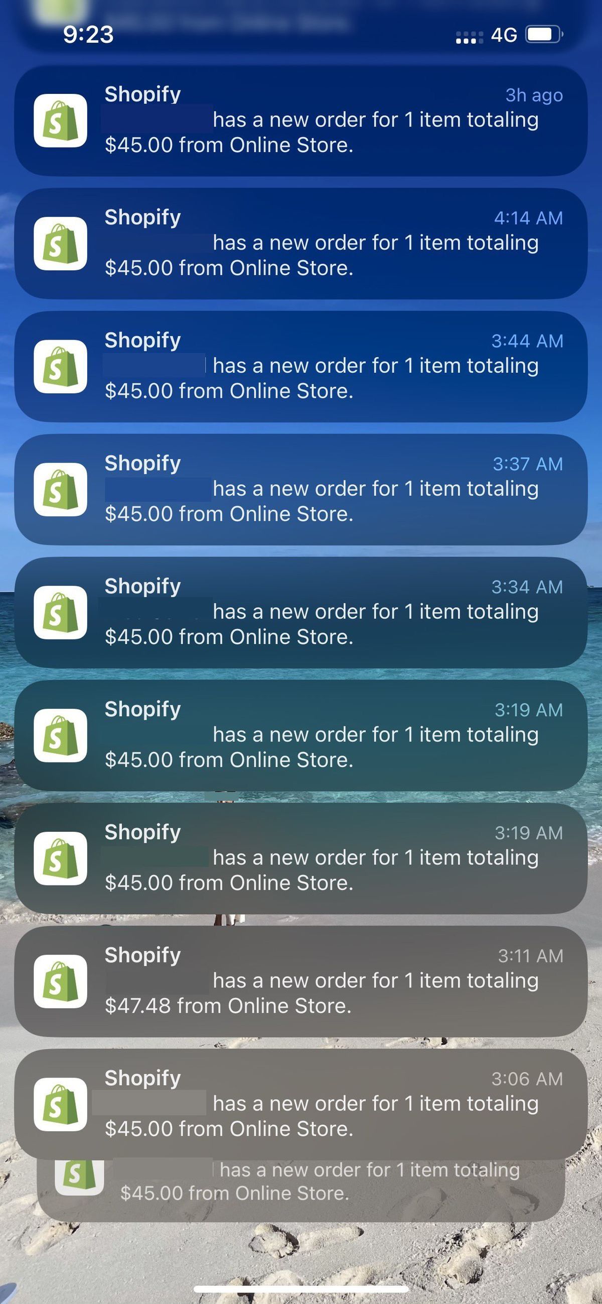 Illustrative Shopify outcome on the RealShip curriculum